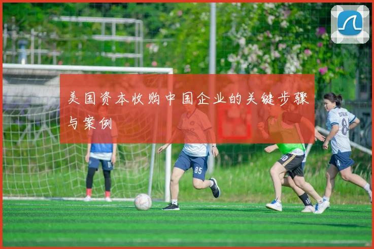 美国资本收购中国企业的关键步骤与案例
