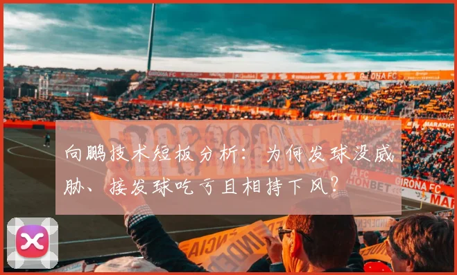 向鹏技术短板分析：为何发球没威胁、接发球吃亏且相持下风？