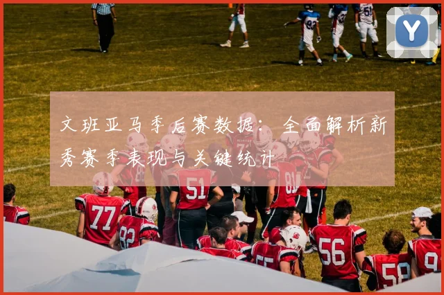 文班亚马季后赛数据：全面解析新秀赛季表现与关键统计