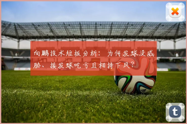 向鹏技术短板分析：为何发球没威胁、接发球吃亏且相持下风？